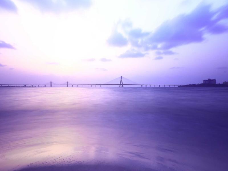 宠物殡葬师<br>lyv4augd.cn 毛孩子告别
